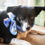 Rosewood Dog Cooling Neckerchief - medium