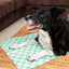 Green Checkered Cool Mat - Medium