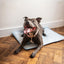 Premium Cool Mat and Cover - Medium