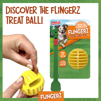 Flingerz - Bee Throw Toy