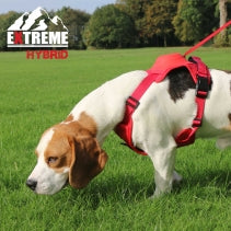 Extreme Hybrid Harness Poppy Red M