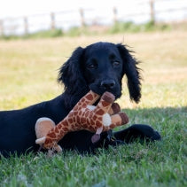 Small Bite Giraffe