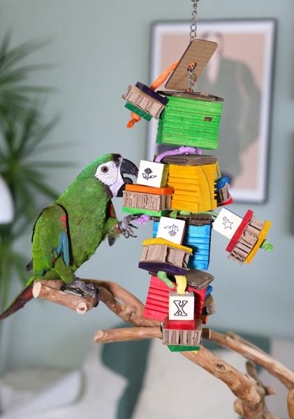 Rosewood Boredom Breaker Groovy Blocks Bird Toy