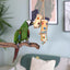 Rosewood Boredom Breaker Bamboo Forage Trio Bird Toy
