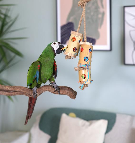 Rosewood Boredom Breaker Bamboo Forage Trio Bird Toy