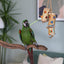 Rosewood Boredom Breaker Bamboo Forage Trio Bird Toy
