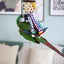 Rosewood Boredom Breaker Carnival Of Fun Bird Toy