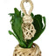 Rosewood Boredom Breaker Pineapple Lantern Small Animal/Bird Toy