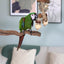 Rosewood Naturals Twist 'n' Cups Bird Toy