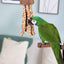 Rosewood Naturals Woven Jellyfish Bird Toy