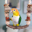 Rosewood Naturals Liana Swing Bird Toy