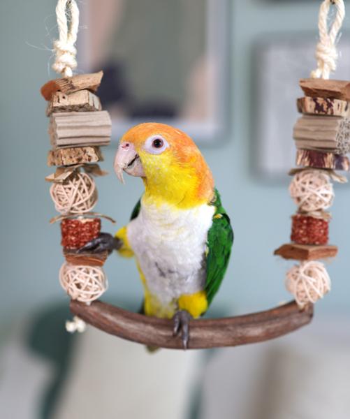 Rosewood Naturals Liana Swing Bird Toy
