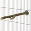 Rosewood Naturals Branch Bird Perch - Small