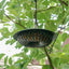Recycled Hang or Mount Peanut Feeder