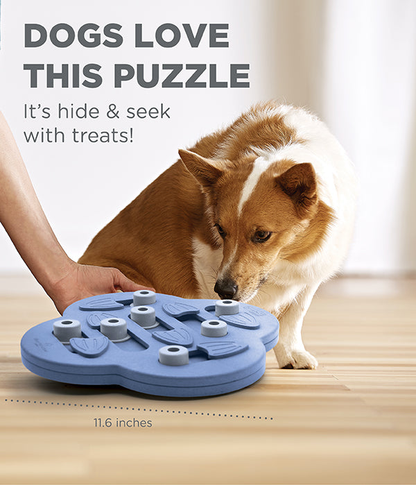 Nina Ottosson Dog Hide N Slide Puzzle Toy