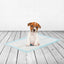 Savic Puppy Trainer Pads Medium - 30 Pads