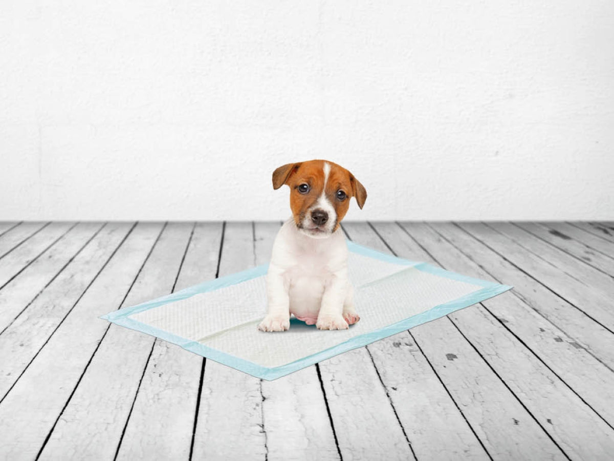 Savic Puppy Trainer Pads Medium - 30 Pads