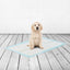Savic Puppy Trainer Pads Large - 30 Pads