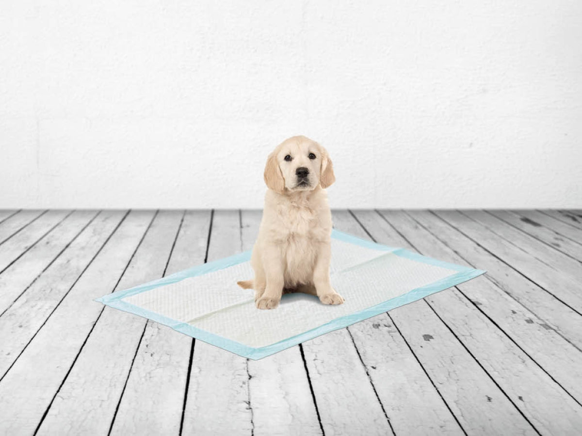 Savic Puppy Trainer Pads Large - 30 Pads
