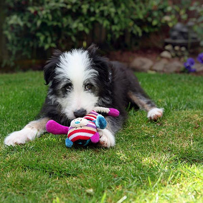 Rosewood Mr Twister Tilly Teddy Dog Toy