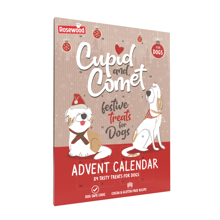 Rosewood Dog Safe Chocolate Advent Calendar