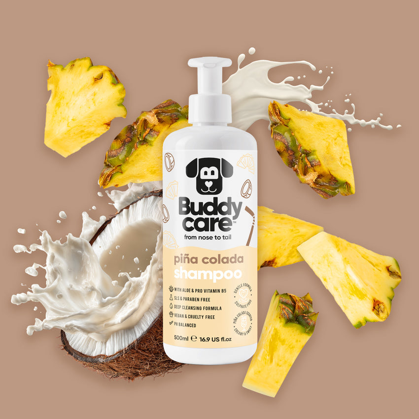 Buddycare Dog Shampoo - Pina Colada **SEASONAL** - 500ml / 16.9 fl oz