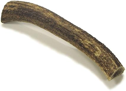 Medium Whole Antler