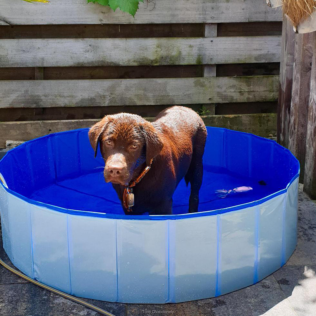 Dog Pool 120x30cm