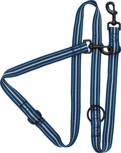 6-in-1 Sports Training Lead Blue 1" x 72"