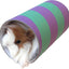 Large Guinea Pig Tube