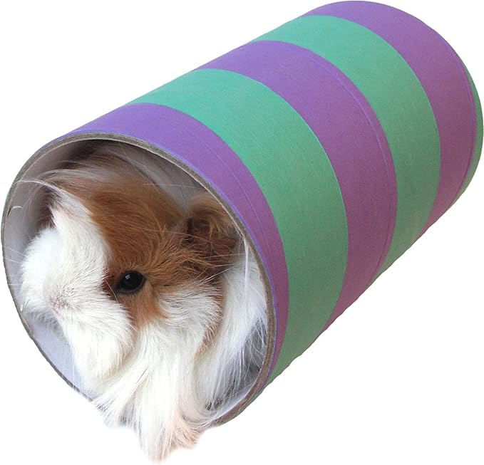 Large Guinea Pig Tube
