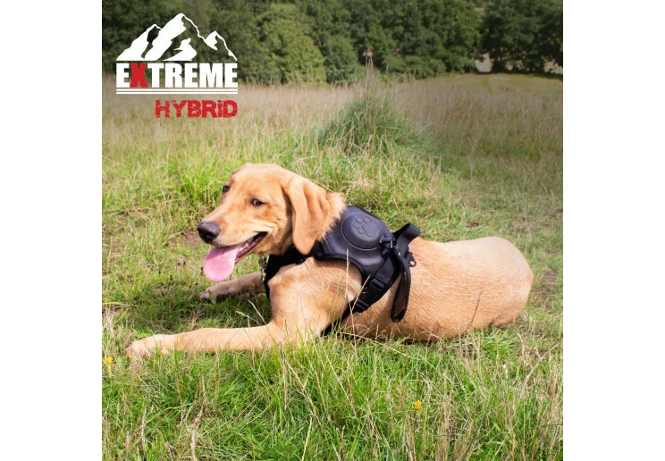 Extreme Hybrid Harness Tactical Black M