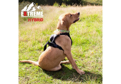 Extreme Hybrid Harness Tactical Black L