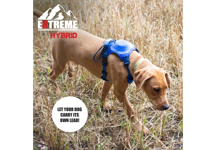 Extreme Hybrid Harness Aqua Blue L