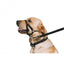 Nylon Training Halter M Size 3-4