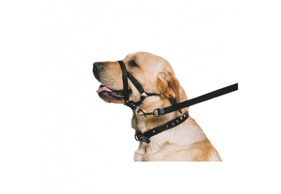Nylon Training Halter XL Size 7-9