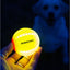 Ancol Rechargable LED Ball Yellow