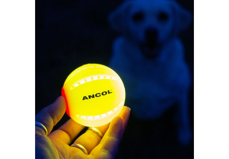 Ancol Rechargable LED Ball Yellow