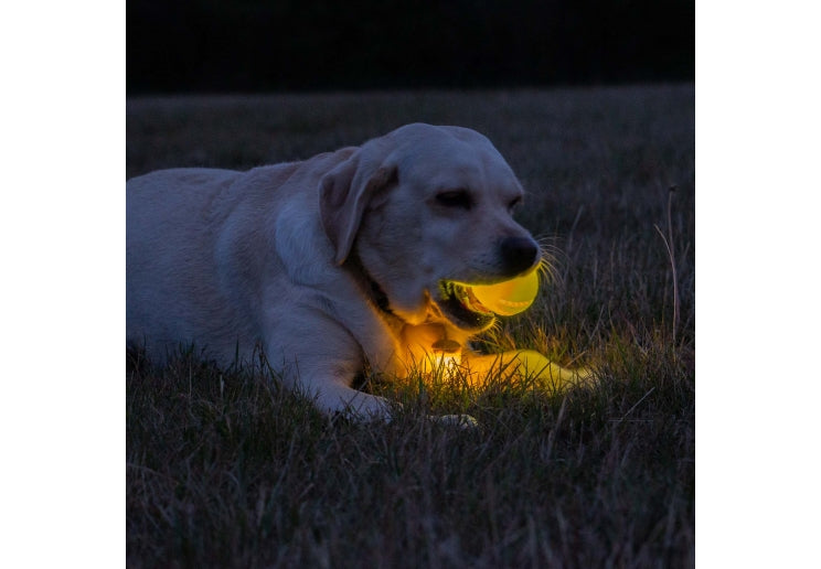 Ancol Rechargable LED Ball Yellow