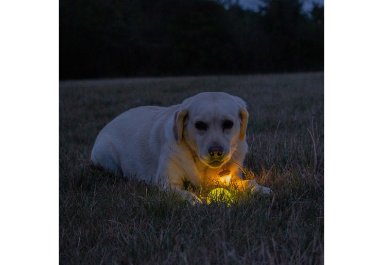 Ancol Rechargable LED Ball Yellow
