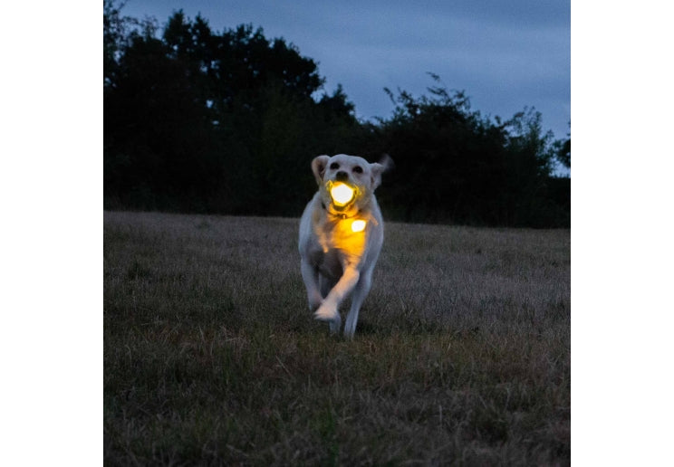 Ancol Rechargable LED Ball Yellow