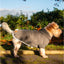 Ancol Polar Fleece Grey Large