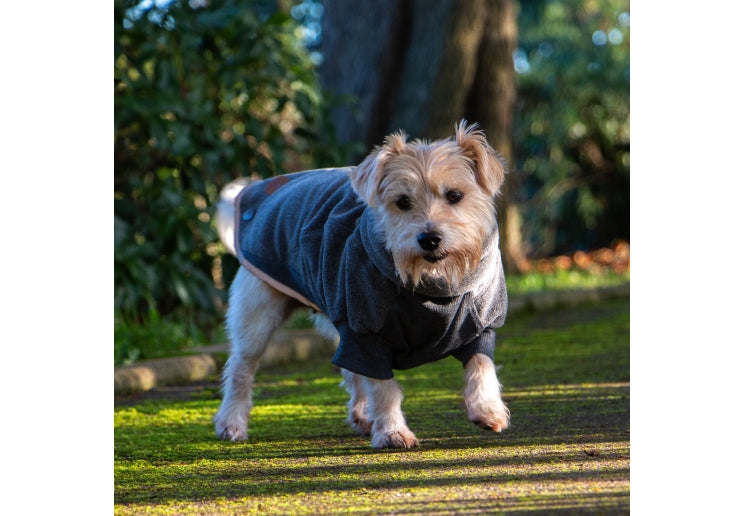 Ancol Polar Fleece Grey Small