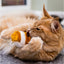 Jittery Mice Cat Toy