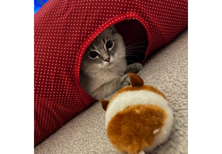 Jittery Mice Cat Toy