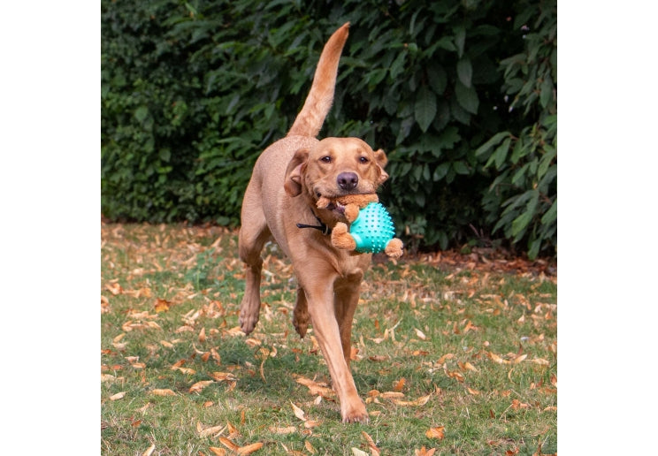 Orva Rabbit Ball Bellies