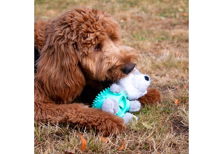 Orva Wolf Ball Bellies