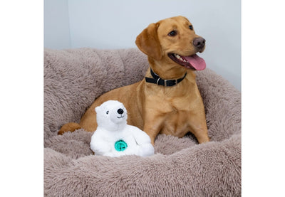 Orva Tough Tummies Polar Bear Treat Belly