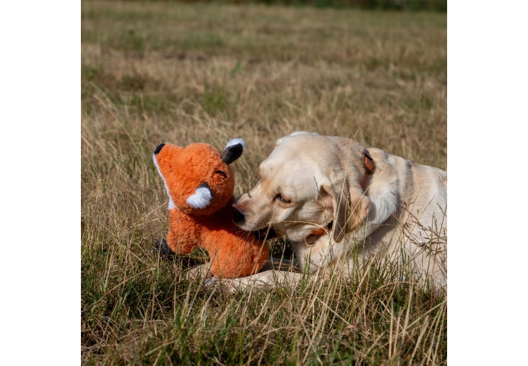 Heritage Felicity Fox