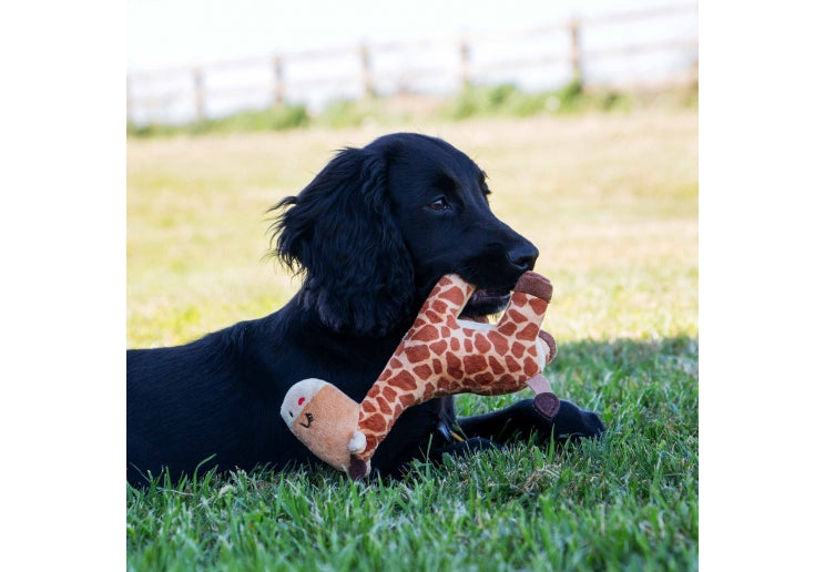 Small Bite Giraffe